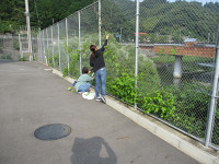s-IMG_1218