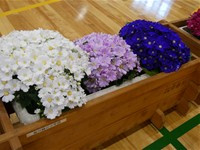 s-P1015066