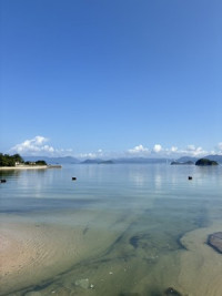 s-IMG_8591
