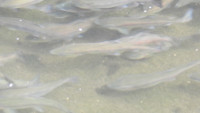 03s-DSCN6852
