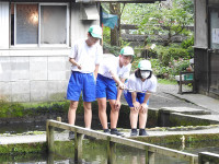 13s-DSCN6888